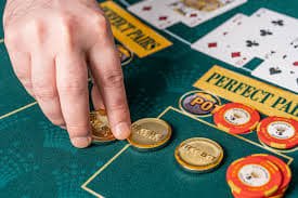 5566 app Live Casino